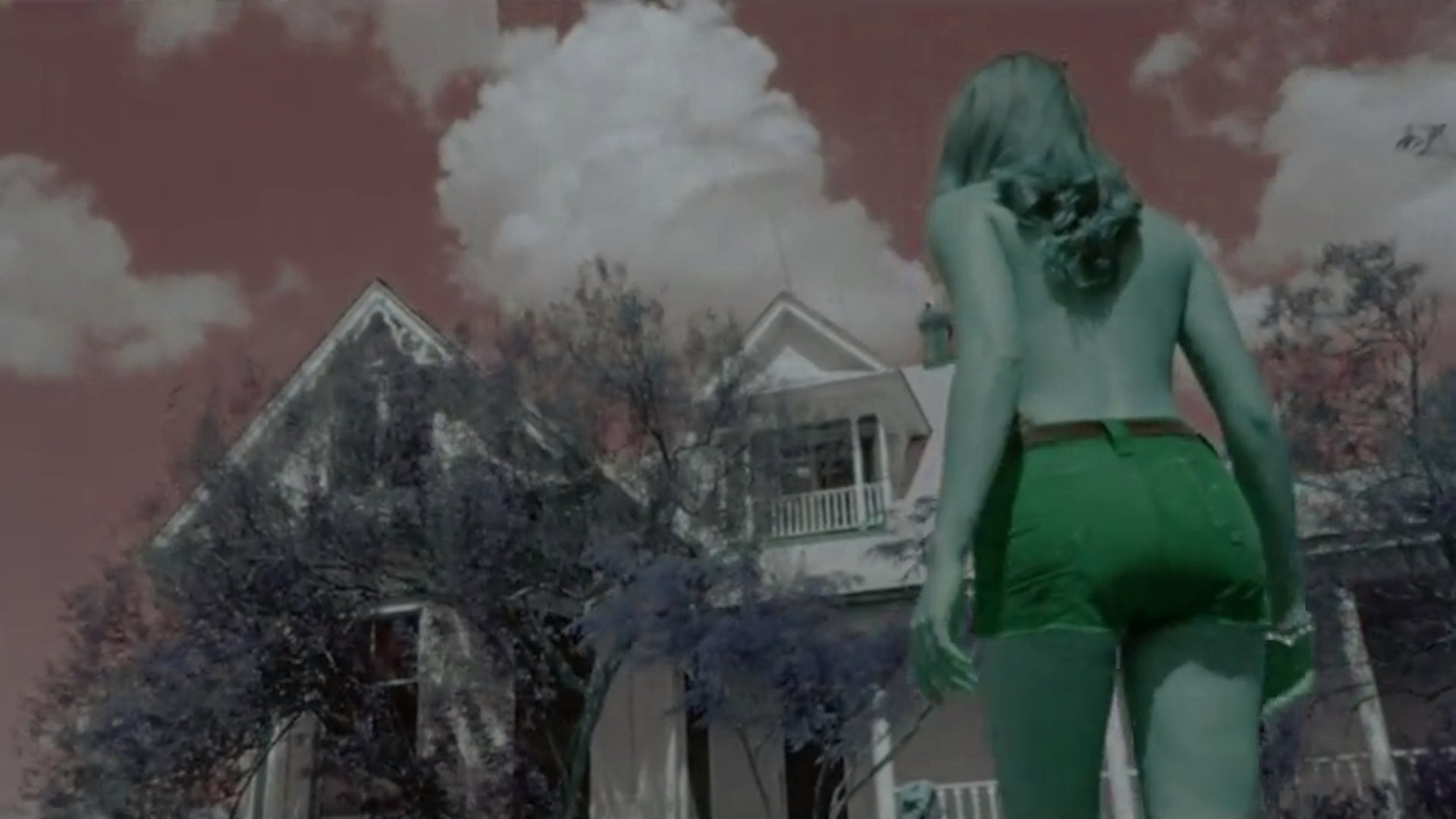 my favorite 30 seconds in the texas chain saw massacre